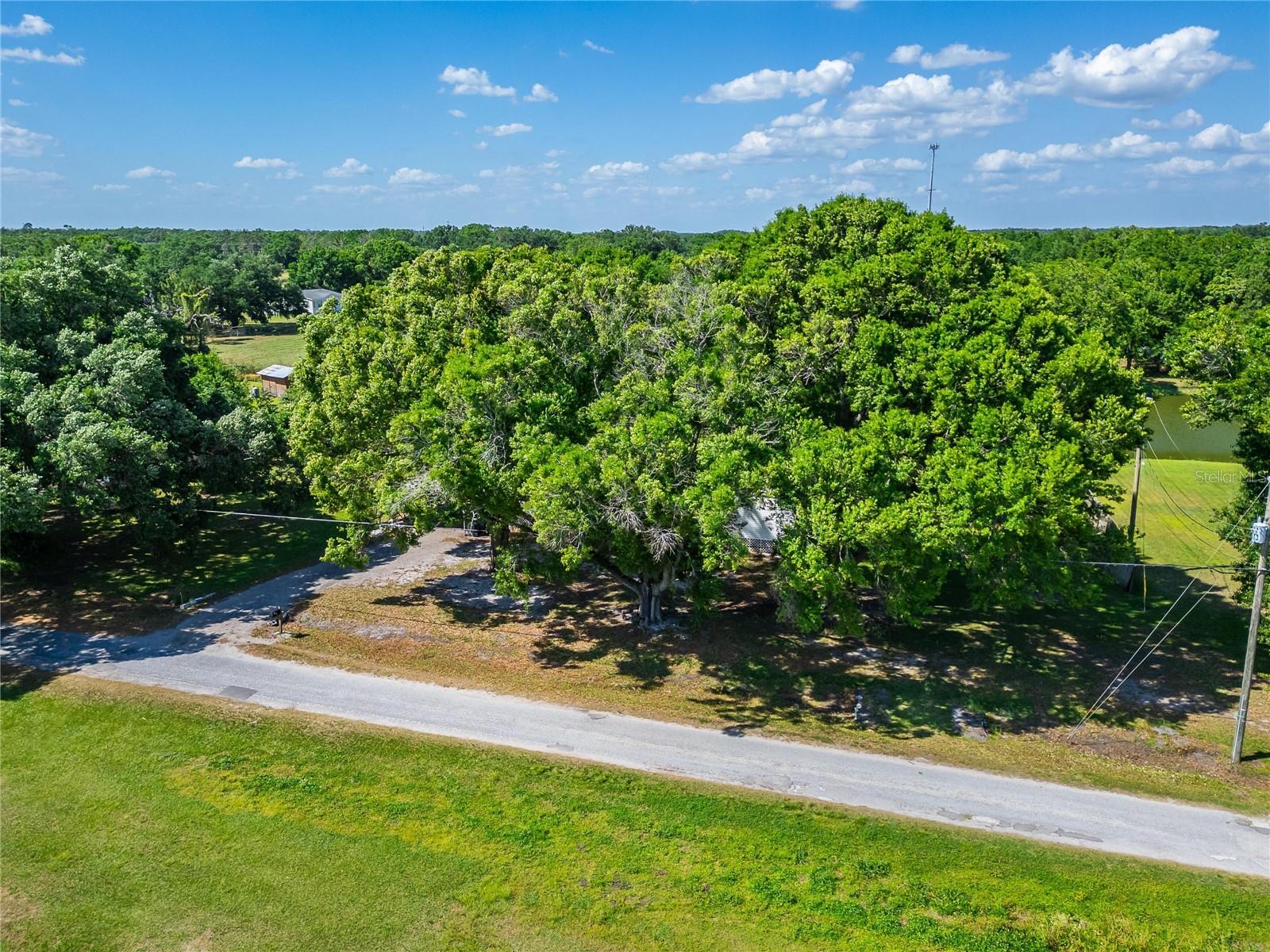 UNPLATTED - Residential