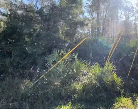 1645 11TH AVENUE DELAND FL 32724