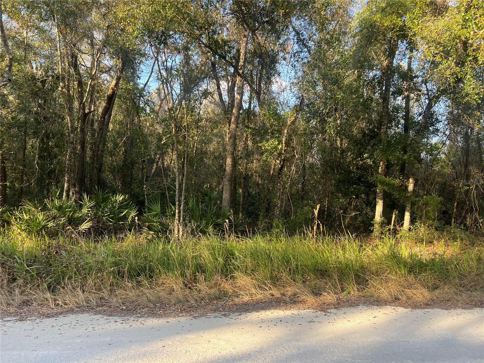 Just under 2 acres of beautiful treed property with plenty of elbow room for RV's, ATV's, subsistence agriculturist/horticulturist, outdoor activities, pool, extra garages, green houses, & more. NO HOA or CDD'S!!! This beautiful homesite is perfect to build a custom-built home with the freedom of choosing your own floorplan to meet your family's needs. Close to eateries, shopping, grocery stores, Walmart distribution center, parks, & much more! Perfect combination of privacy & convenience with plenty of room for a growing family! Stop by today to see this fabulous opportunity.