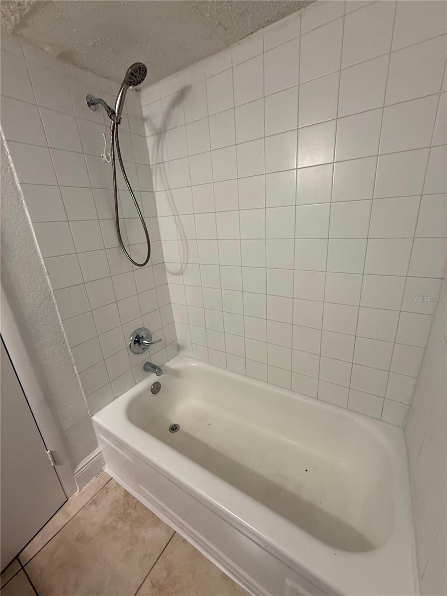 MILLENNIUM PALMS - Residential Lease