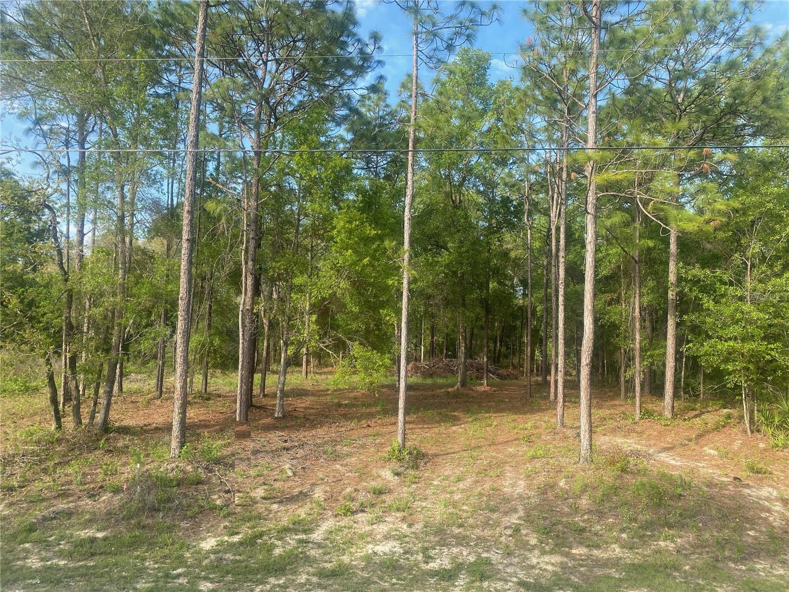 ROYAL HIGHLANDS - Land