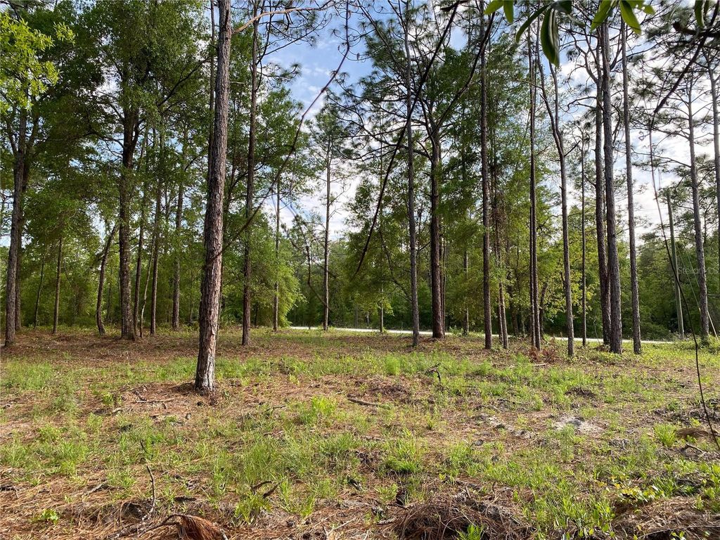 Photo of 15570 Cliff Swallow Road, Weeki Wachee, FL 34614 (MLS # TB8452443)