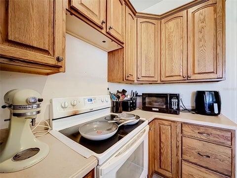 Tiny photo for 38634 Lakeview Walk, Lady Lake, FL 32159 (MLS # TB8562561)