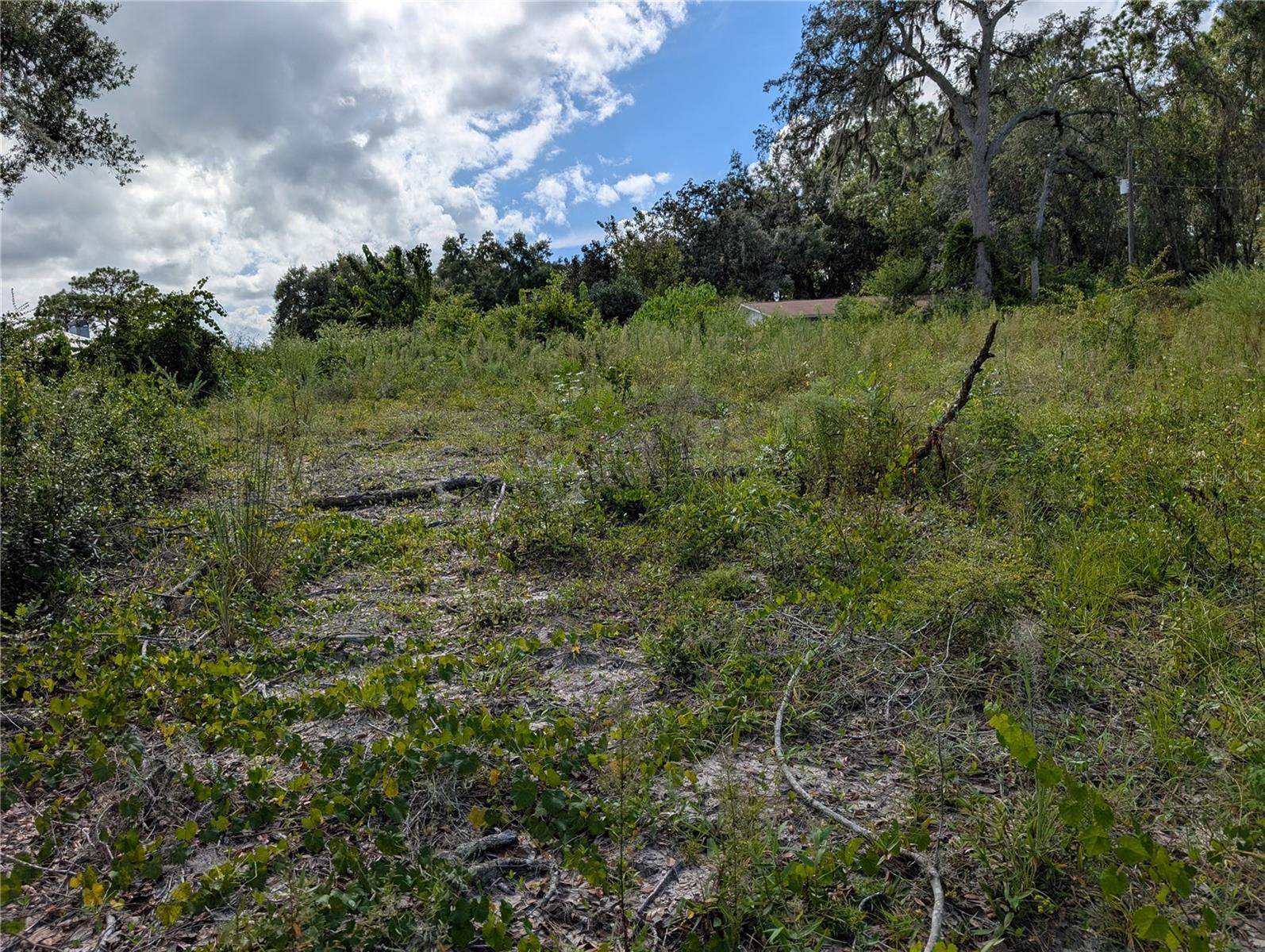 WOODS & LAKES - Land