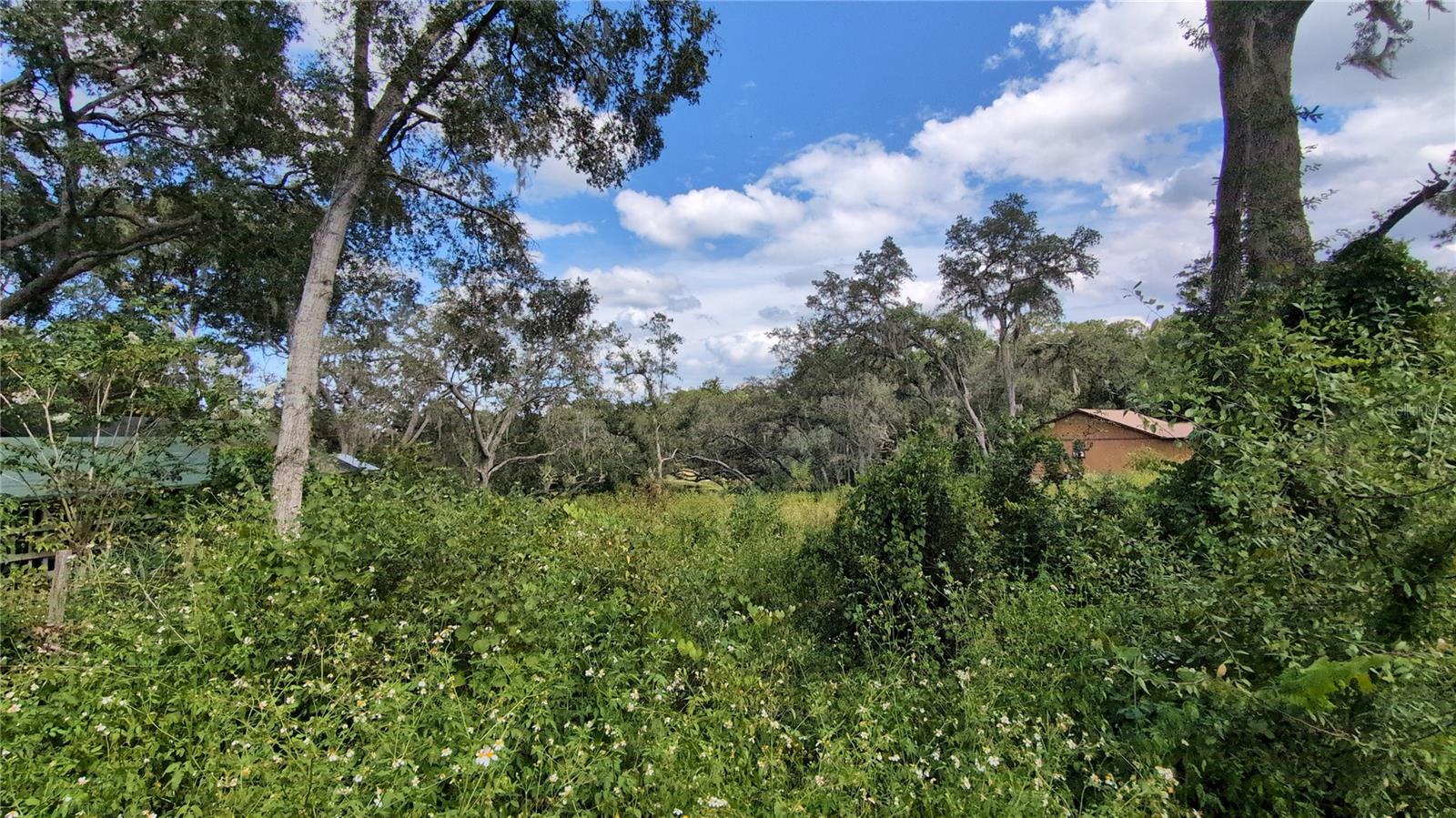 WOODS & LAKES - Land