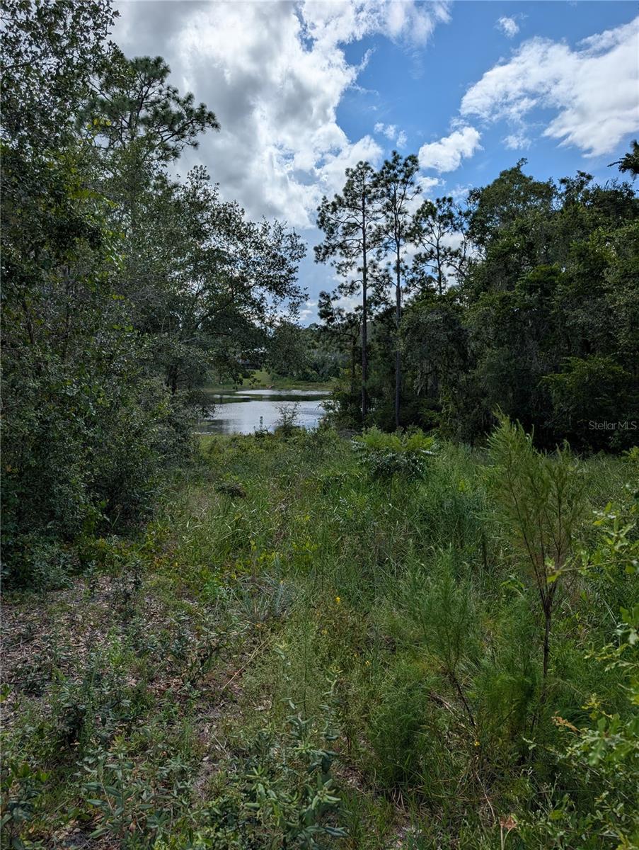 WOODS & LAKES - Land