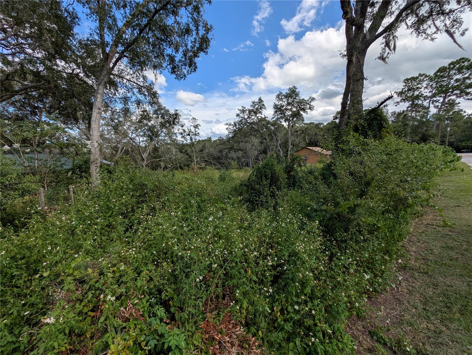 WOODS & LAKES - Land