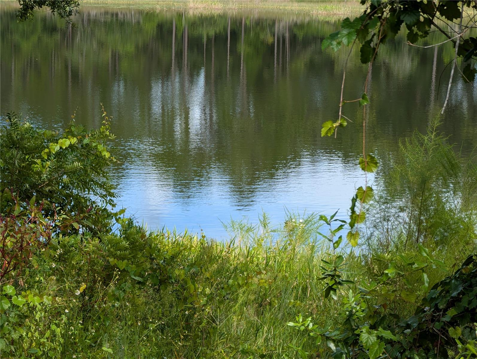 WOODS & LAKES - Land