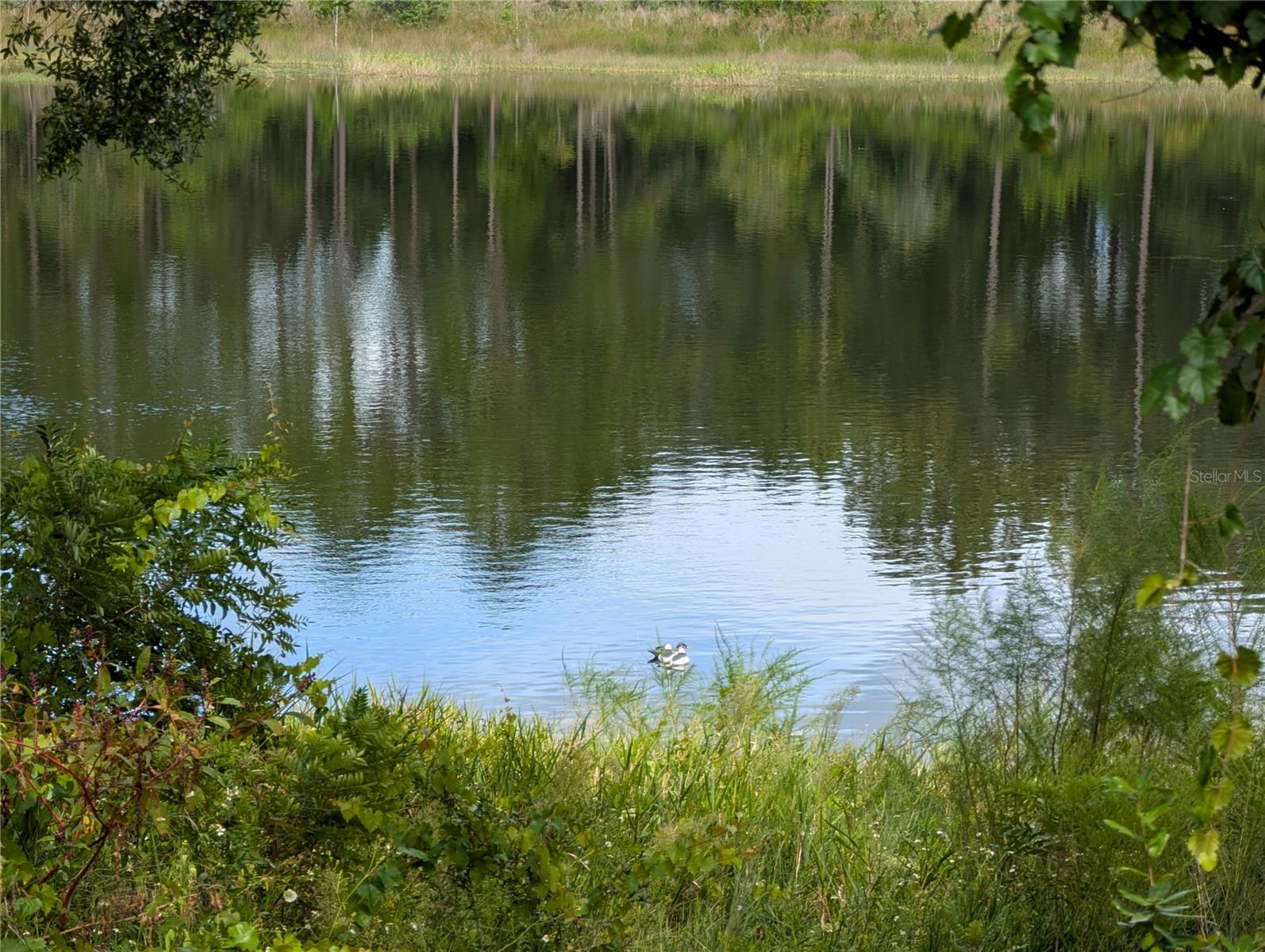 WOODS & LAKES - Land