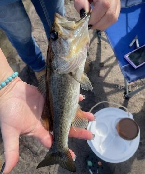 WOODS & LAKES - Land