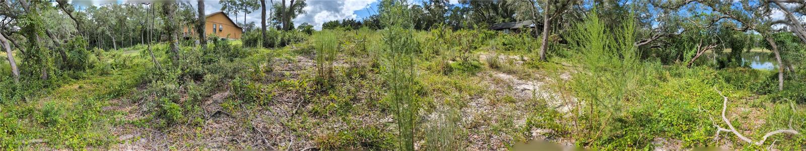 WOODS & LAKES - Land