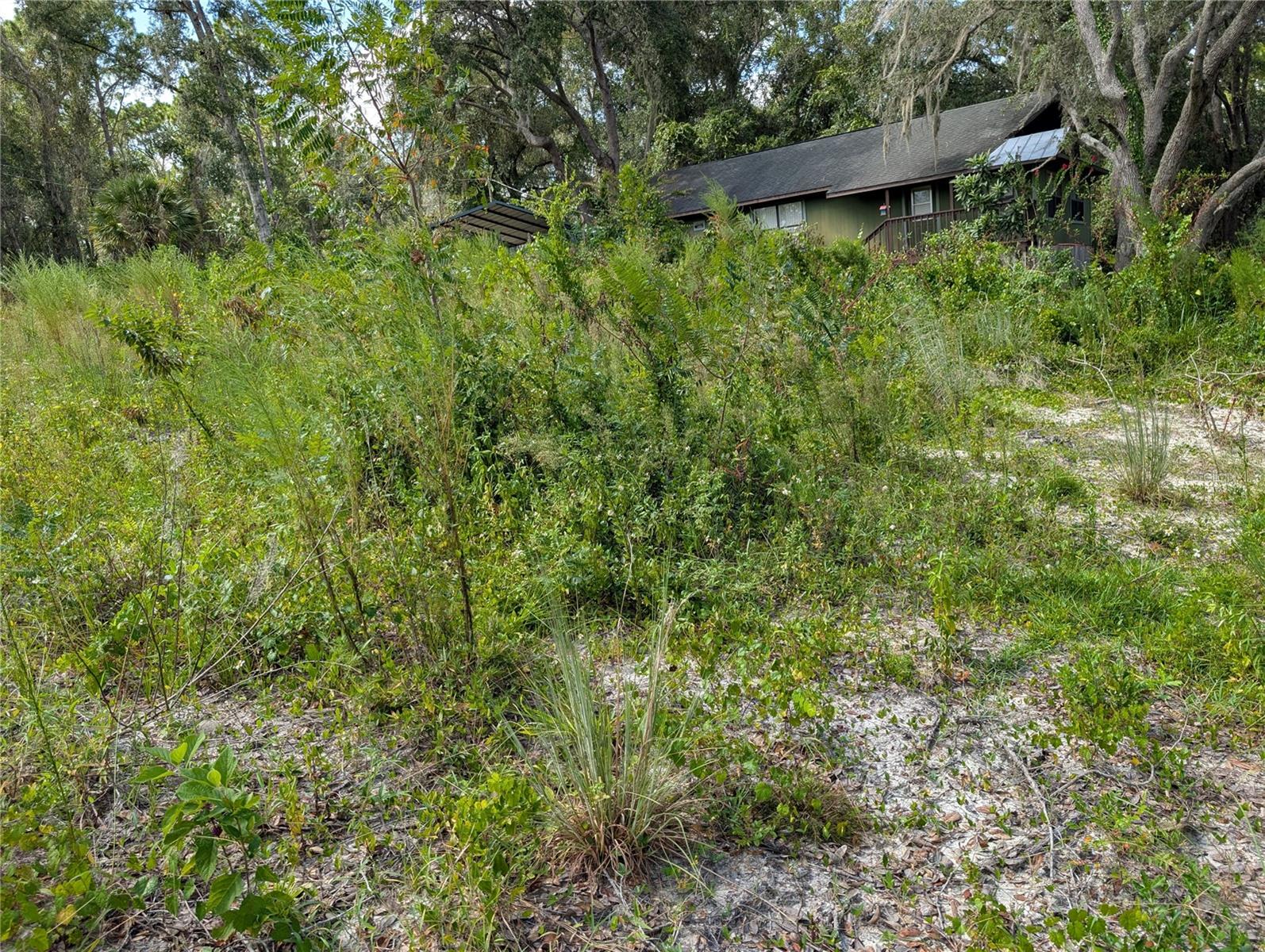 WOODS & LAKES - Land