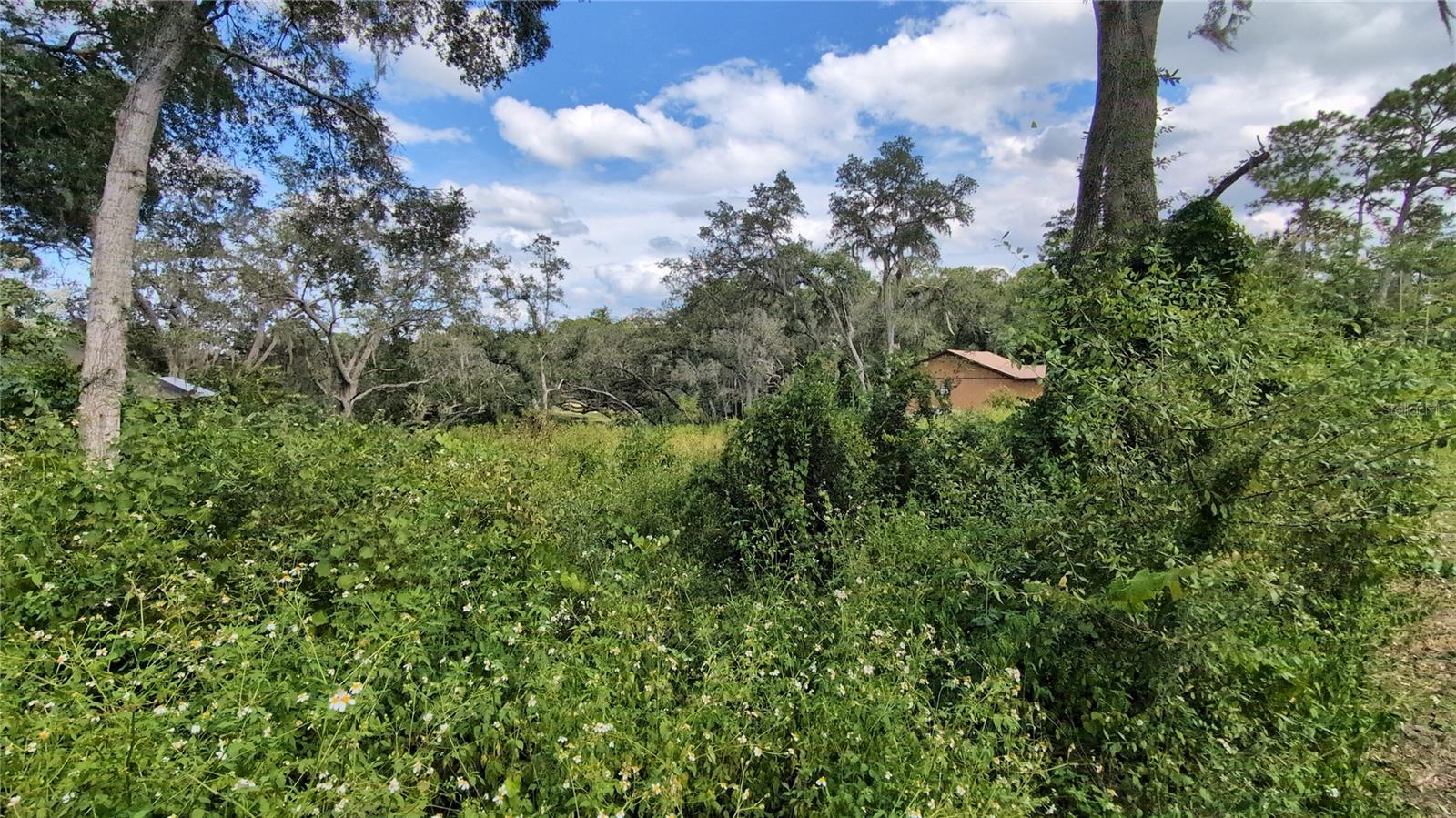 WOODS & LAKES - Land