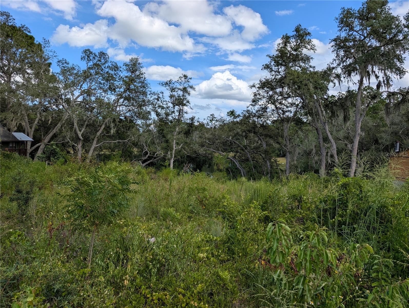 WOODS & LAKES - Land