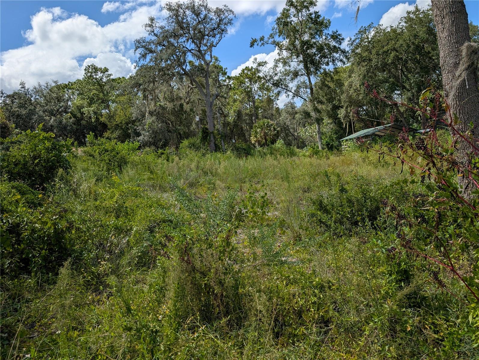 WOODS & LAKES - Land