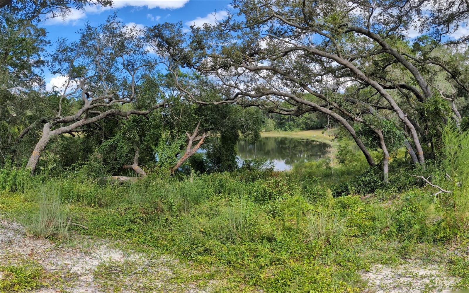 WOODS & LAKES - Land