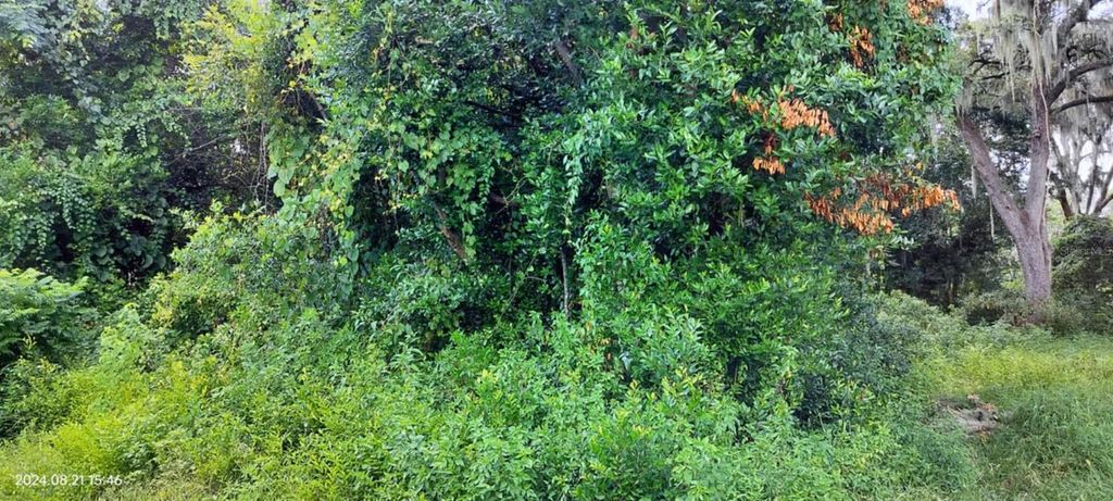 Photo of 1980 S Tsala Terrace, Inverness, FL 34450 (MLS # T3550427)