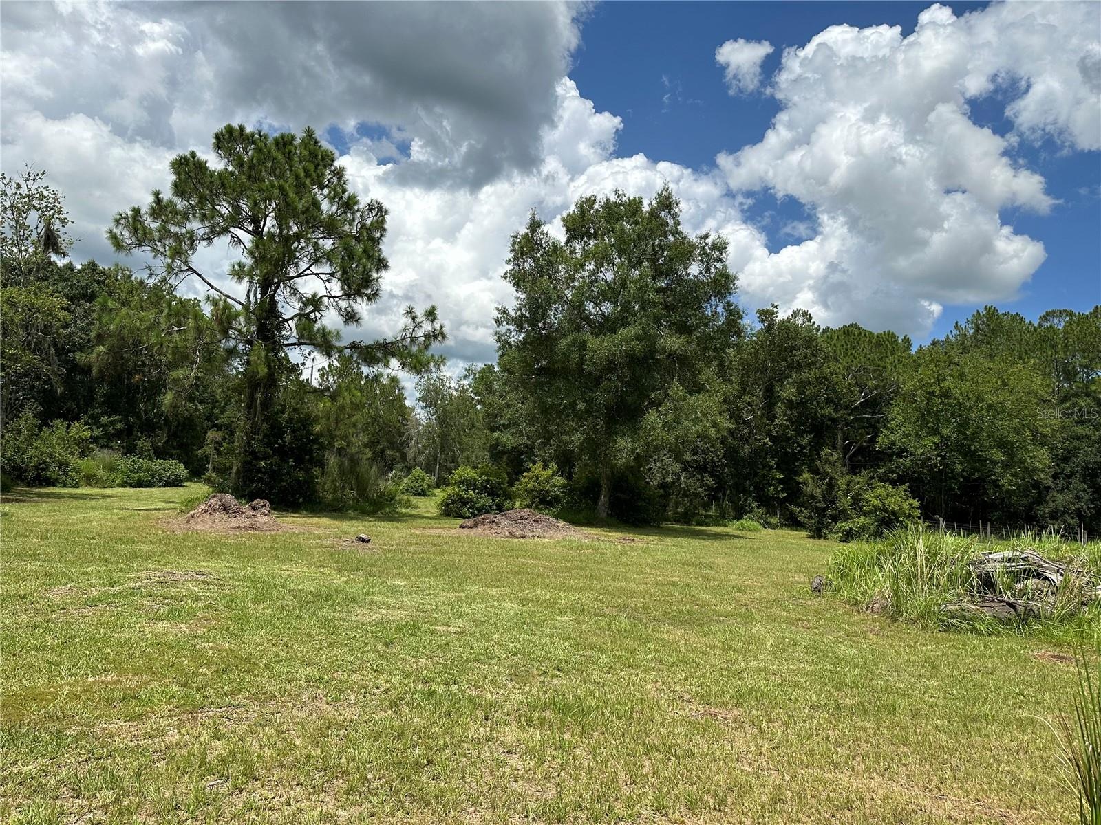 PINE MEADOW ACRES - Land