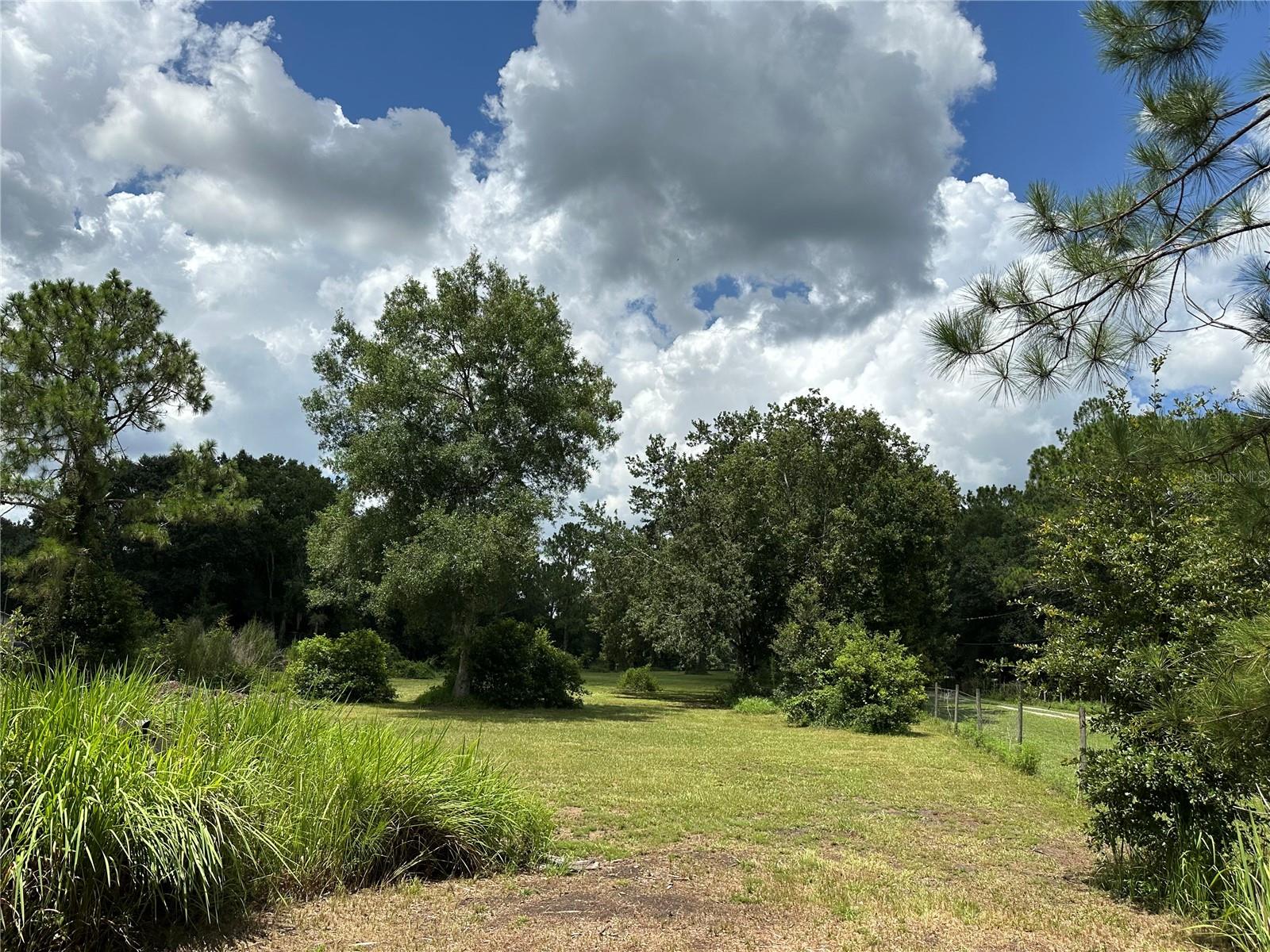 PINE MEADOW ACRES - Land