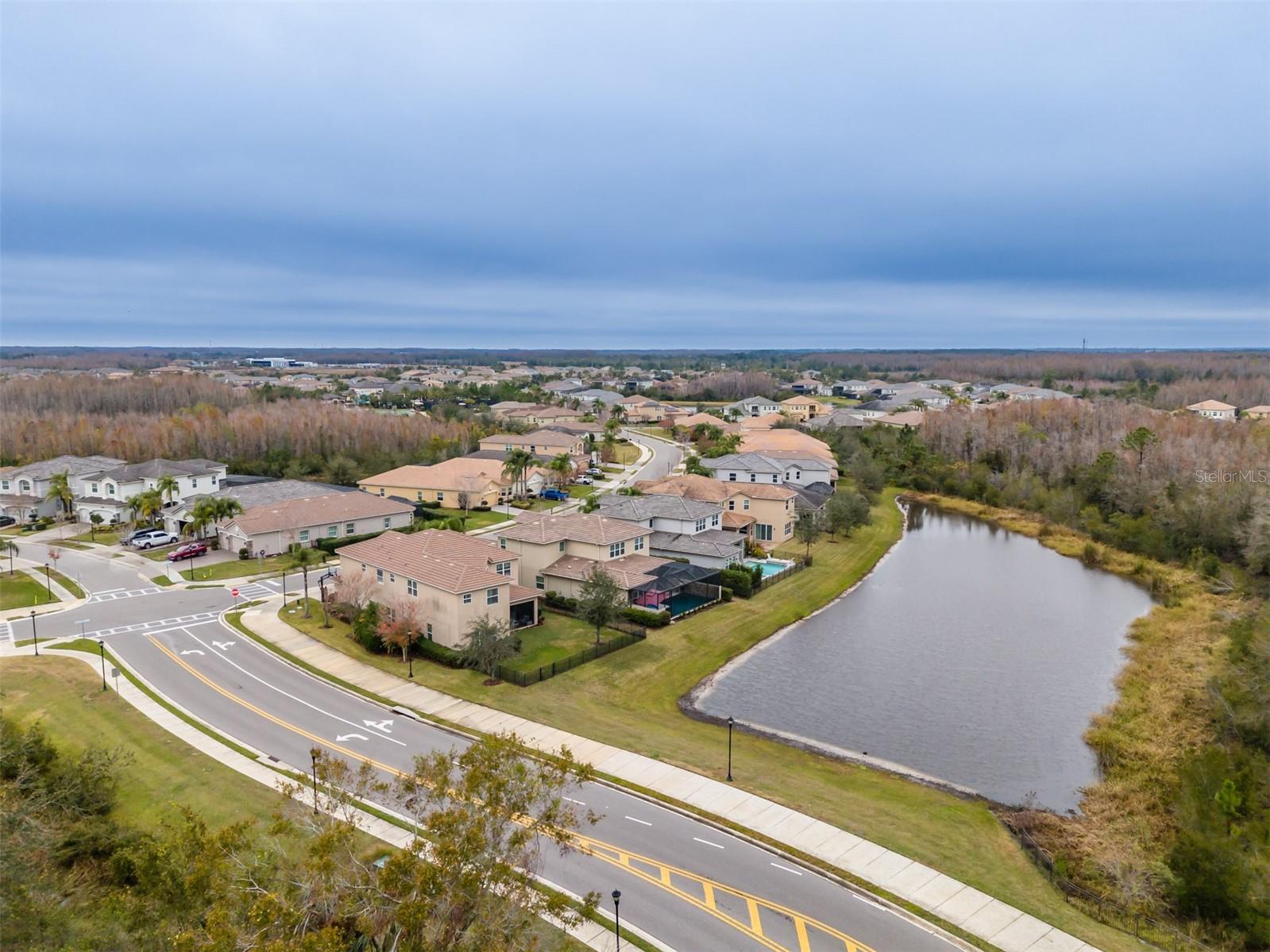 THE RIDGE AT WIREGRASS - Residential