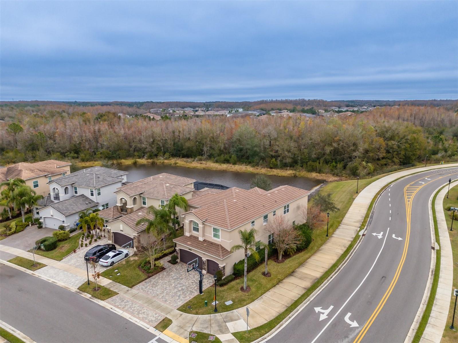 THE RIDGE AT WIREGRASS - Residential