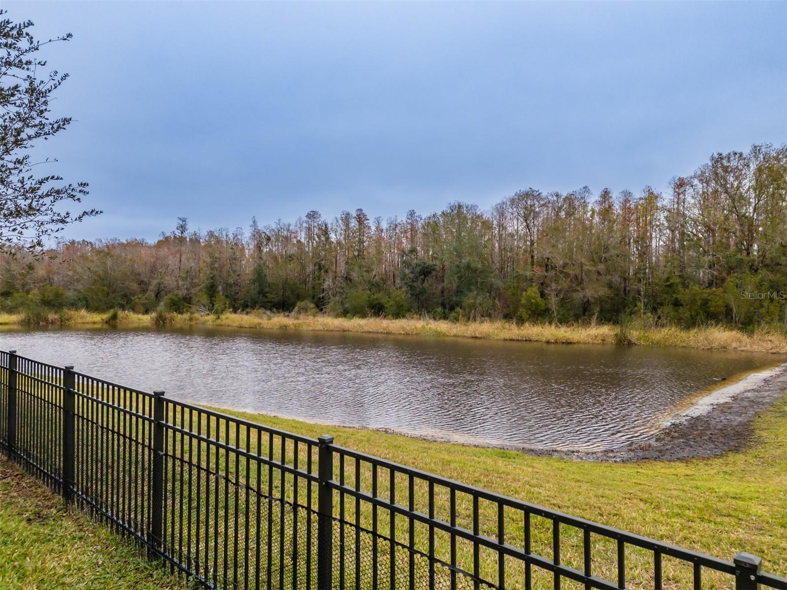 THE RIDGE AT WIREGRASS - Residential