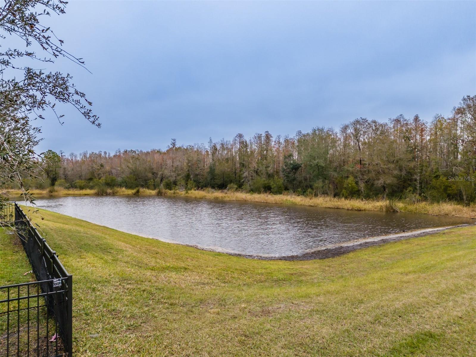 THE RIDGE AT WIREGRASS - Residential
