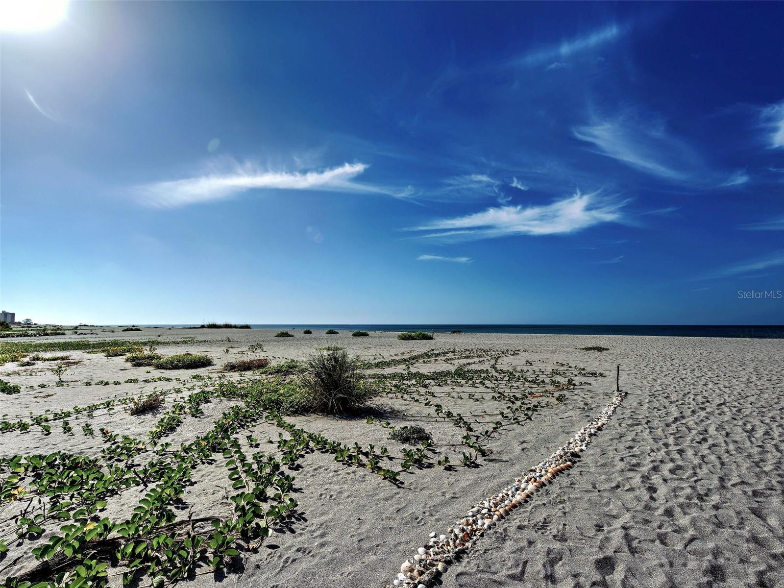 1100 TARPON CENTER DRIVE 102B, VENICE, FL, 34285 3 1100 TARPON CENTER DRIVE 102B