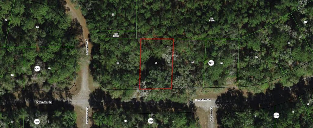 Photo of 373 E Avondale Drive, Dunnellon, FL 34434 (MLS # TB8453797)