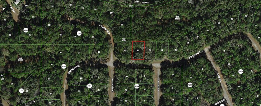 Photo of 373 E Avondale Drive, Dunnellon, FL 34434 (MLS # TB8453797)