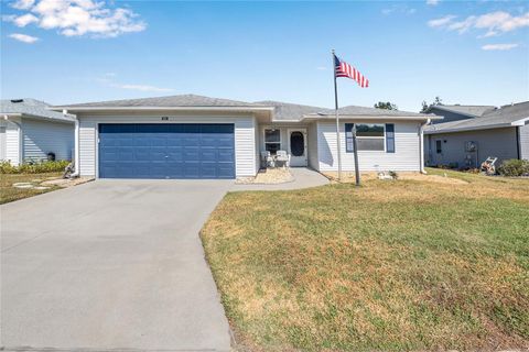 131 WILLOW BROOK DRIVE LEESBURG FL 34748