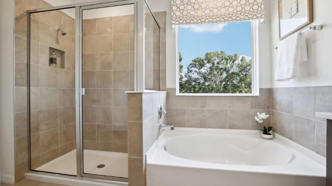 ANGELINE - Residential