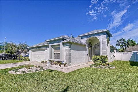 A home in LAND O LAKES