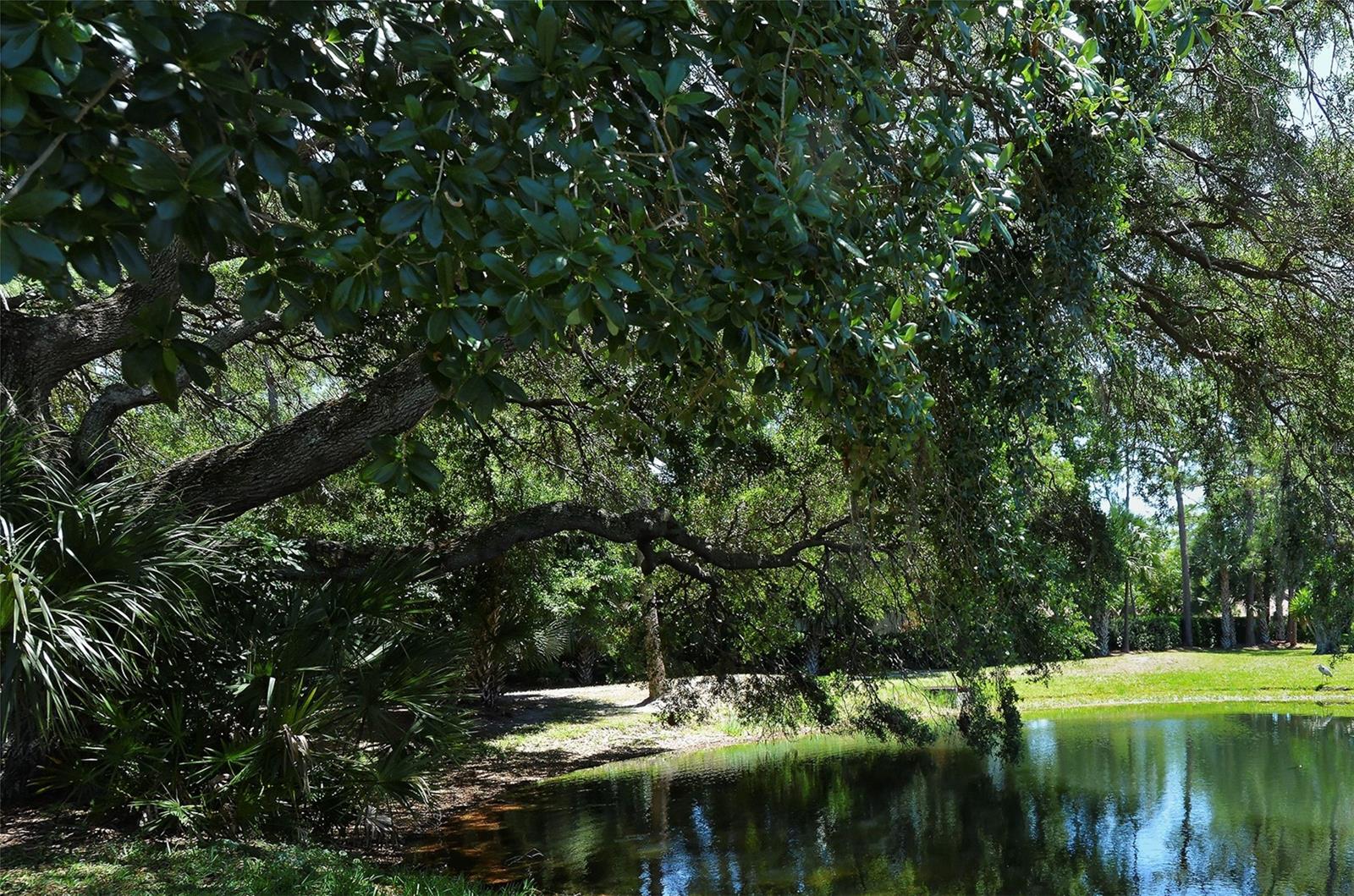 WILLOW LINKS - Residential