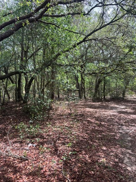 Photo of 83rd Lane, Bronson, FL 32621 (MLS # GC540764)