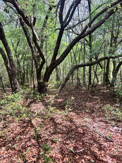 Tiny photo for 83rd Lane, Bronson, FL 32621 (MLS # GC540764)