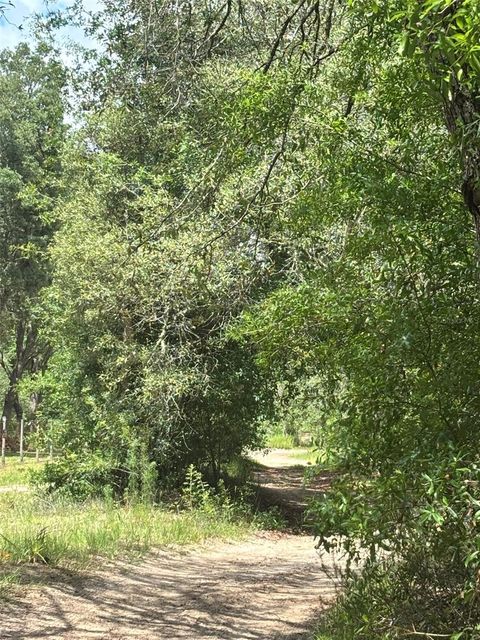 Tiny photo for 83rd Lane, Bronson, FL 32621 (MLS # GC540764)