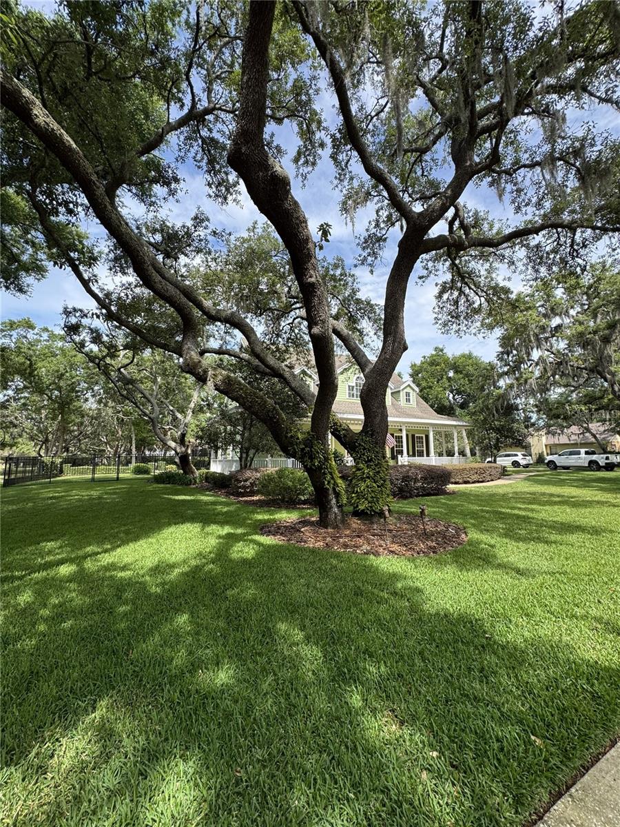 CHELSEA WOODS - Residential