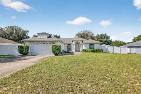 36703 SUNDANCE DRIVE GRAND ISLAND FL 32735