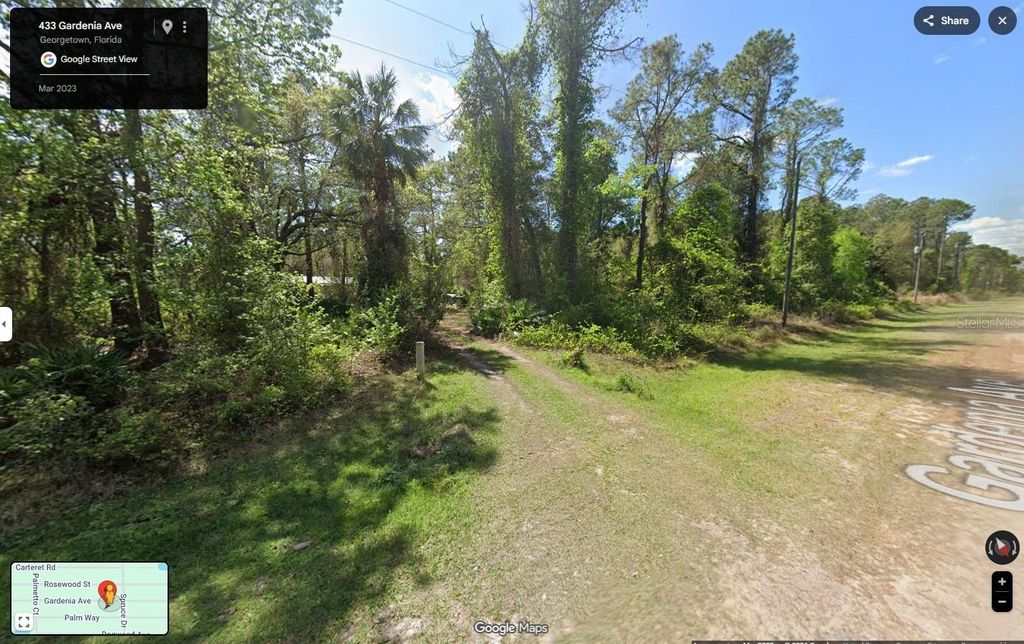 Photo of 433 Gardenia Avenue, Georgetown, FL 32139 (MLS # S5145964)