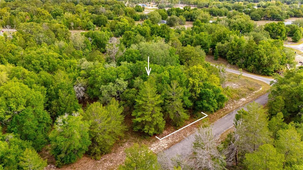 Photo of Magnolia Drive, Ocklawaha, FL 32179 (MLS # TB8506896)