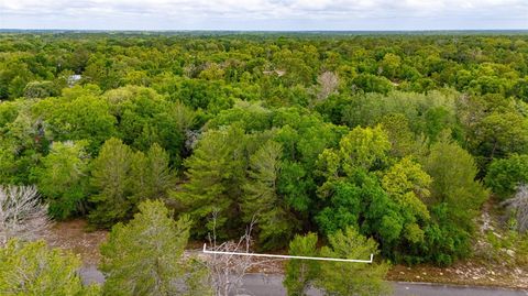 Tiny photo for Magnolia Drive, Ocklawaha, FL 32179 (MLS # TB8506896)
