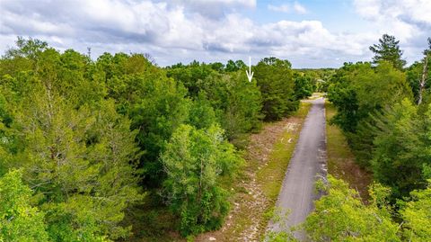 Tiny photo for Magnolia Drive, Ocklawaha, FL 32179 (MLS # TB8506896)