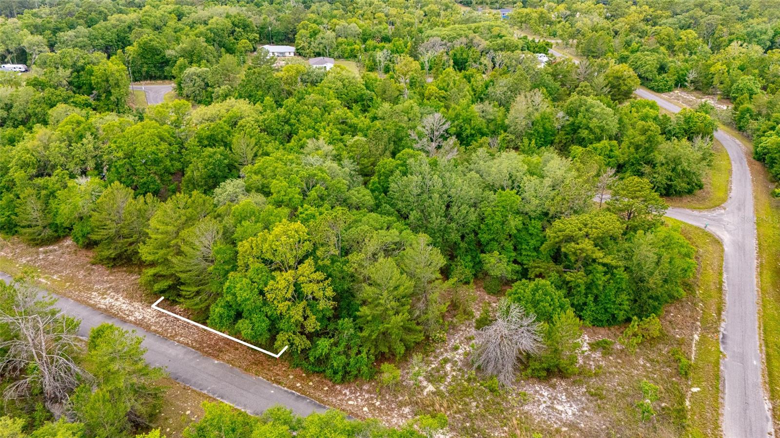 MAGNOLIA DRIVE