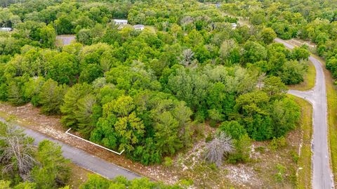 Tiny photo for Magnolia Drive, Ocklawaha, FL 32179 (MLS # TB8506896)