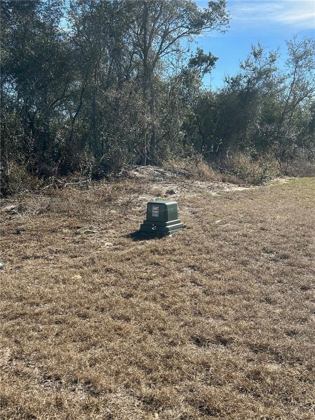 Photo of Tbd SW 37th Circle, Ocala, FL 34473 (MLS # OM716985)