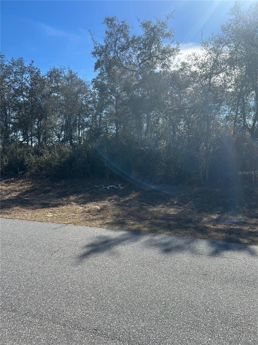 MARION OAKS UN 05 - Land