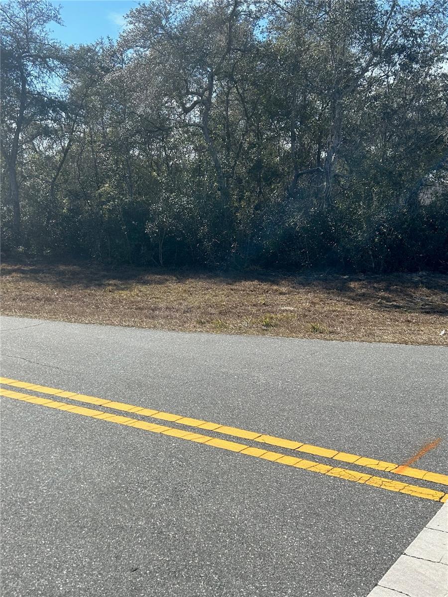 MARION OAKS UN 05 - Land