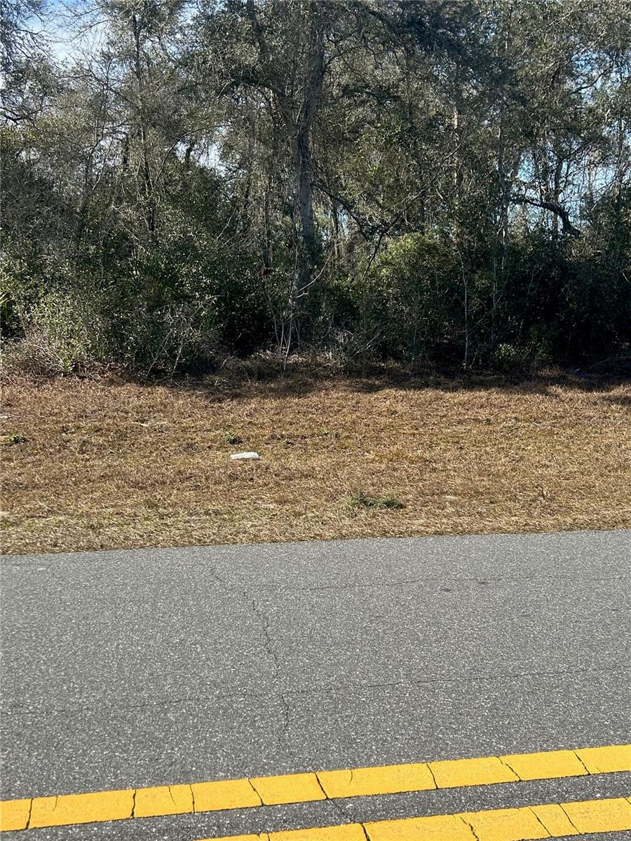 MARION OAKS UN 05 - Land