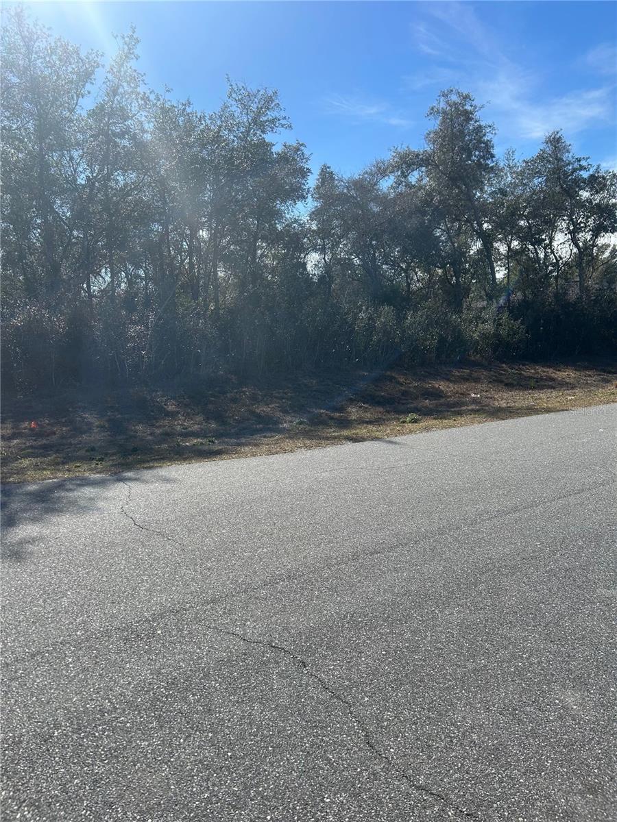 MARION OAKS UN 05 - Land